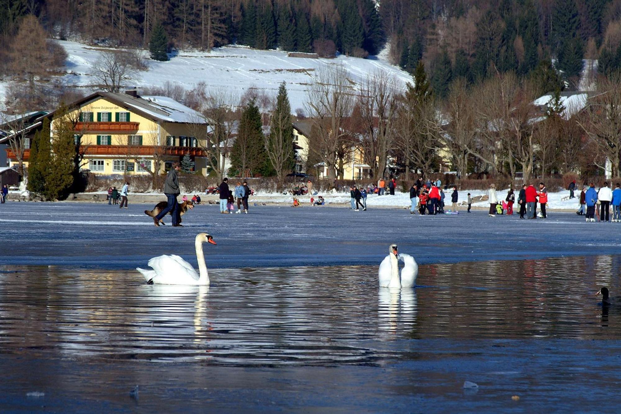 Landhotel Schuetzenhof Фушл ам Зее Екстериор снимка